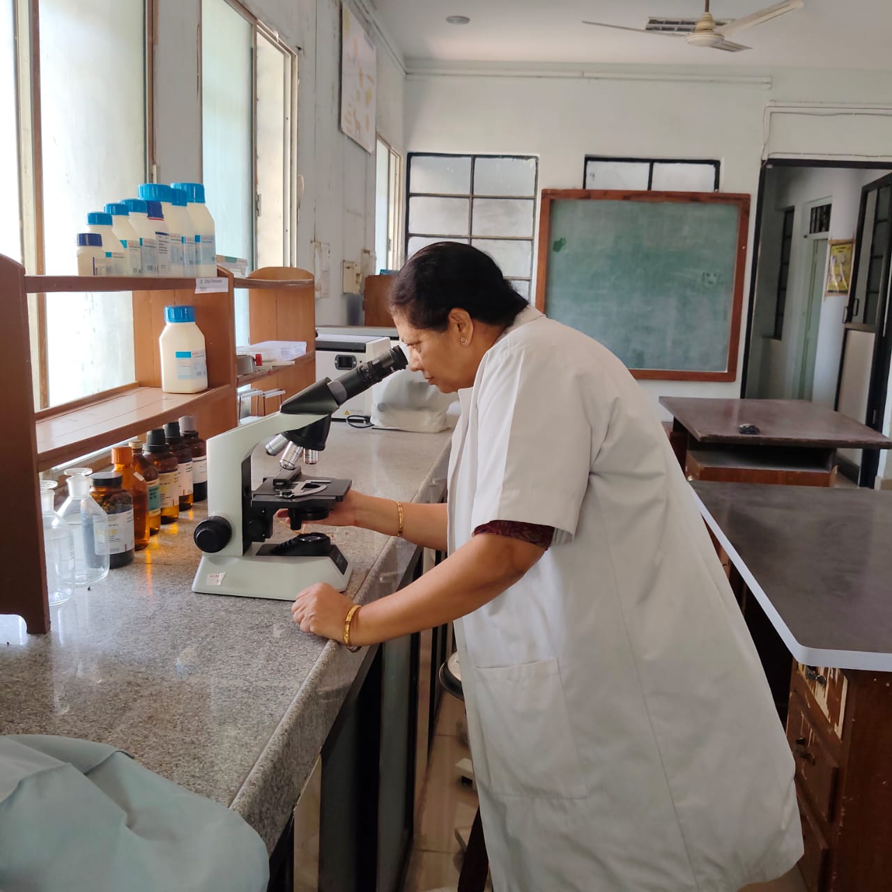 Physiology Gallery (3)